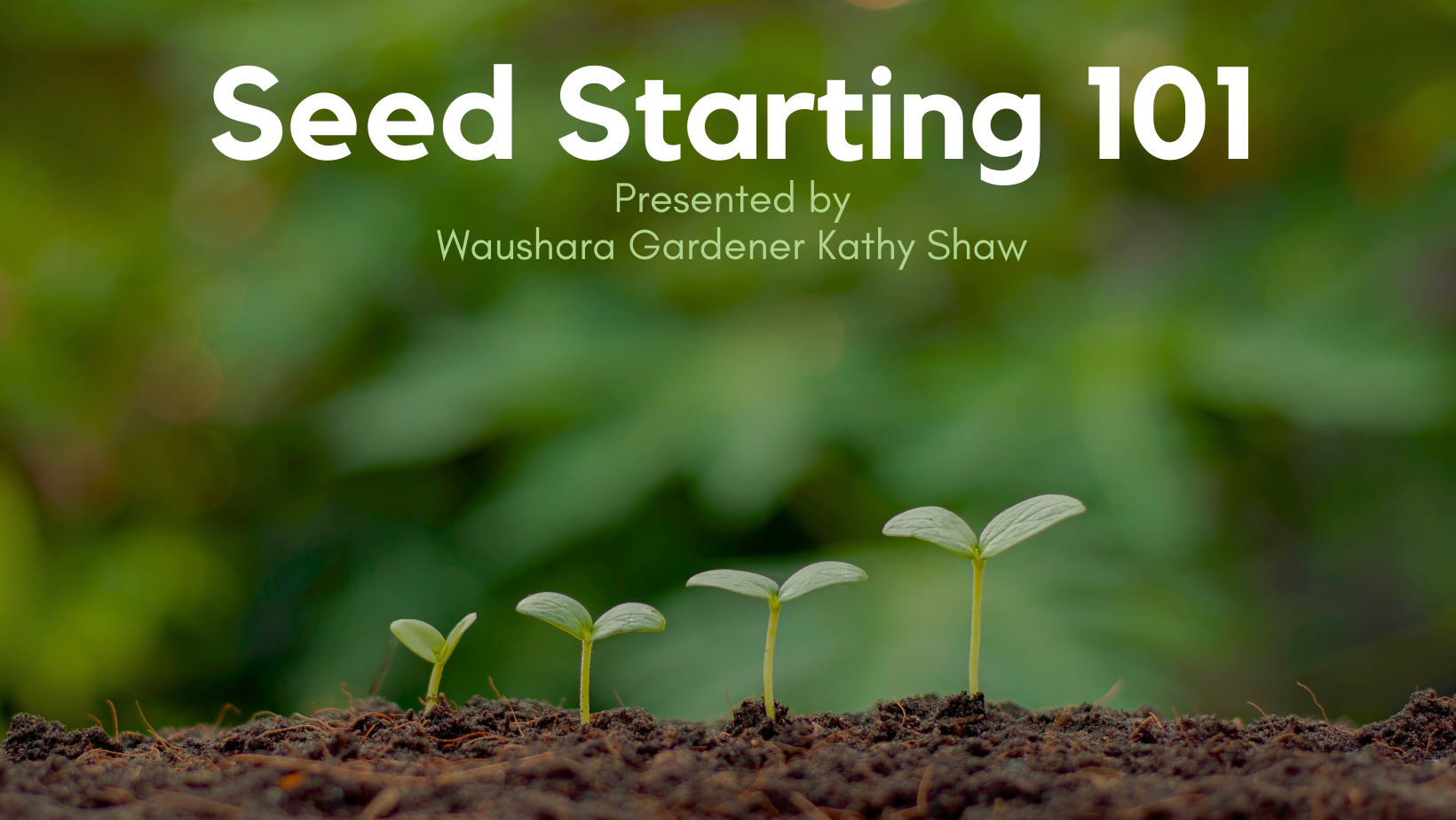 Seed Starting 101