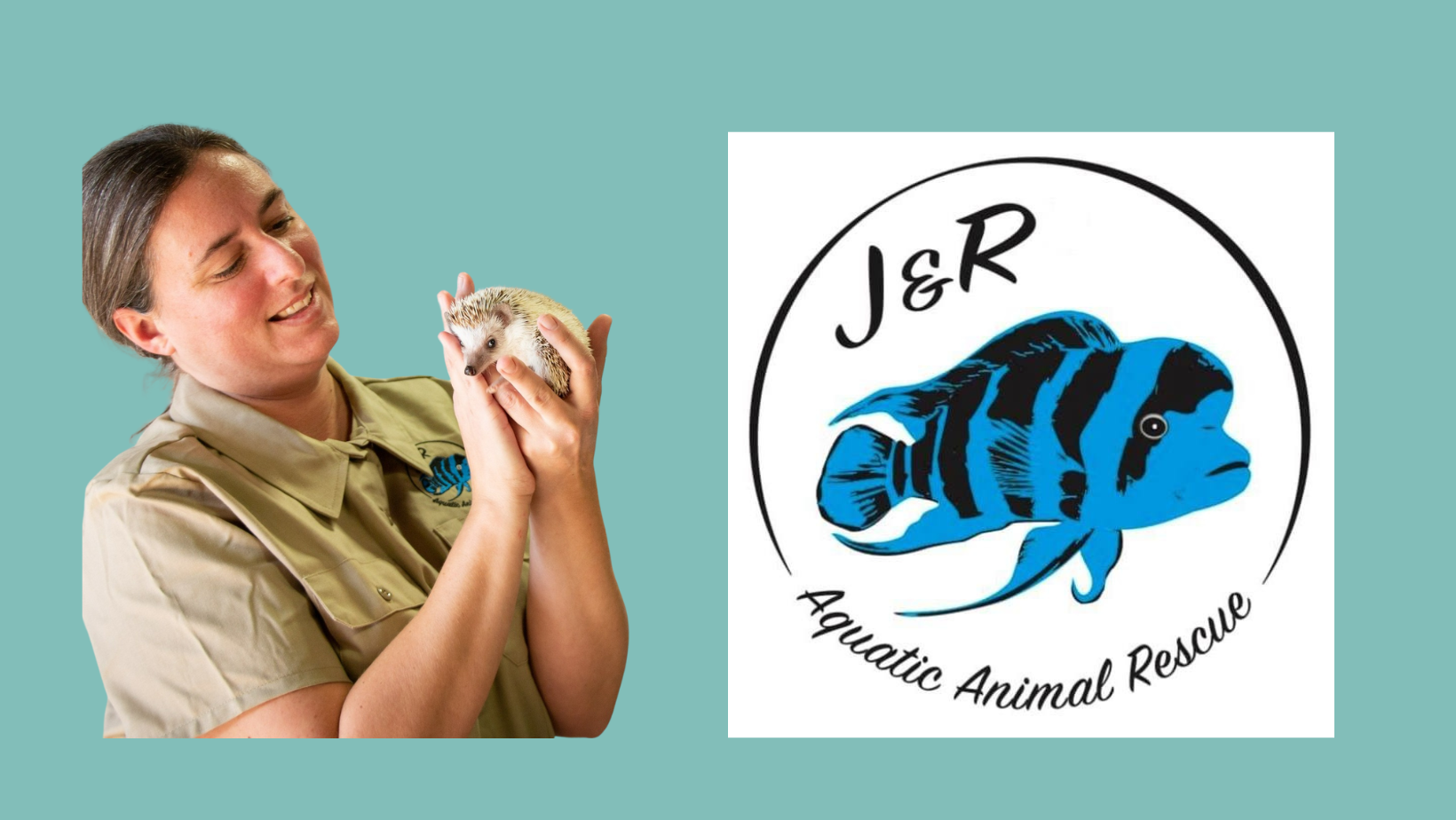 J&R Aquatic Animal Rescue